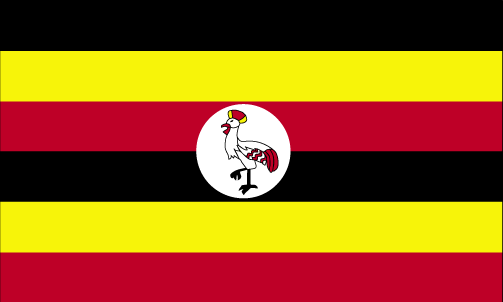 Flag of United States