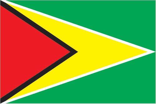 Guyana Flag